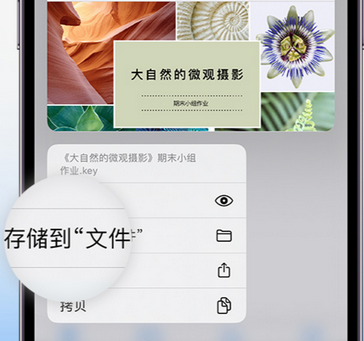 合山apple维修中心分享iPhone文件应用中存储和找到下载文件