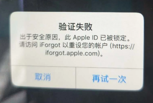 合山iPhone维修分享iPhone上正常登录或使用AppleID怎么办 