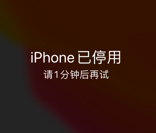 合山苹果手机维修分享:iPhone 显示“不可用”或“已停用”怎么办？还能保留数据吗？ 