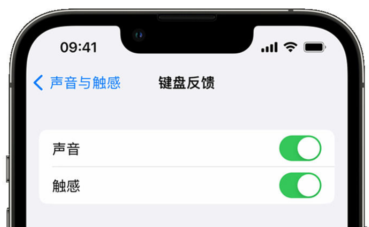 合山苹果手机维修分享iPhone 14触感键盘使用方法 