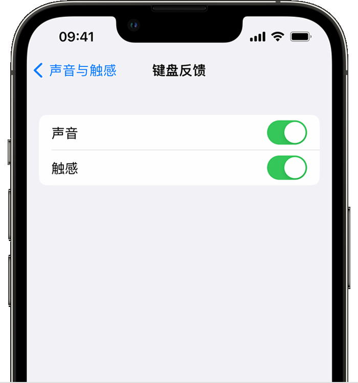 合山苹果14维修店分享如何在 iPhone 14 机型中使用触感键盘 