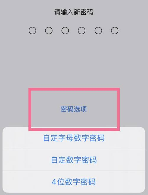 合山苹果14维修分享iPhone 14plus设置密码的方法 