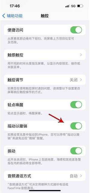 合山苹果手机维修分享iPhone手机如何设置摇一摇删除文字 